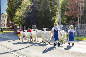 Appenzell, Appenzell Ausserrohden, Autumn, Fall, Herbst, Landwirtschaft, Schweiz, Sennen, Suisse, Switzerland, Tracht, Urnäsch, Viehschau, Wirtschaft, tradition