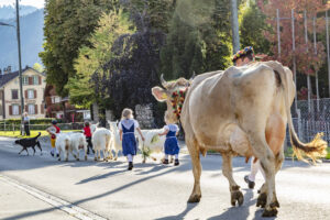 Appenzell, Appenzell Ausserrohden, Autumn, Fall, Herbst, Landwirtschaft, Schweiz, Sennen, Suisse, Switzerland, Tracht, Urnäsch, Viehschau, Wirtschaft, tradition