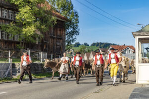 Appenzell, Appenzell Ausserrohden, Autumn, Fall, Herbst, Landwirtschaft, Schweiz, Sennen, Suisse, Switzerland, Tracht, Urnäsch, Viehschau, Wirtschaft, tradition