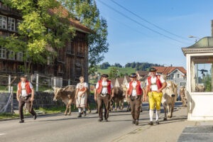 Appenzell, Appenzell Ausserrohden, Autumn, Fall, Herbst, Landwirtschaft, Schweiz, Sennen, Suisse, Switzerland, Tracht, Urnäsch, Viehschau, Wirtschaft, tradition