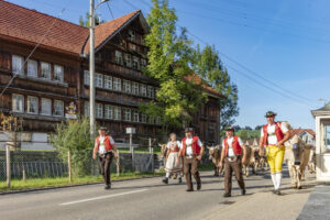 Appenzell, Appenzell Ausserrohden, Autumn, Fall, Herbst, Landwirtschaft, Schweiz, Sennen, Suisse, Switzerland, Tracht, Urnäsch, Viehschau, Wirtschaft, tradition