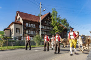 Appenzell, Appenzell Ausserrohden, Autumn, Fall, Herbst, Landwirtschaft, Schweiz, Sennen, Suisse, Switzerland, Tracht, Urnäsch, Viehschau, Wirtschaft, tradition