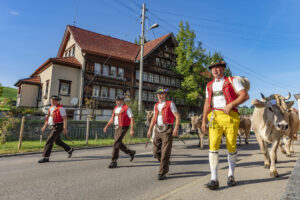 Appenzell, Appenzell Ausserrohden, Autumn, Fall, Herbst, Landwirtschaft, Schweiz, Sennen, Suisse, Switzerland, Tracht, Urnäsch, Viehschau, Wirtschaft, tradition