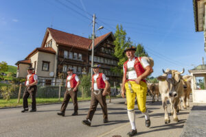 Appenzell, Appenzell Ausserrohden, Autumn, Fall, Herbst, Landwirtschaft, Schweiz, Sennen, Suisse, Switzerland, Tracht, Urnäsch, Viehschau, Wirtschaft, tradition