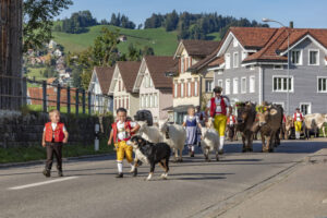 Appenzell, Appenzell Ausserrohden, Autumn, Fall, Herbst, Landwirtschaft, Schweiz, Sennen, Suisse, Switzerland, Tracht, Urnäsch, Viehschau, Wirtschaft, tradition