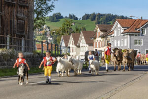 Appenzell, Appenzell Ausserrohden, Autumn, Fall, Herbst, Landwirtschaft, Schweiz, Sennen, Suisse, Switzerland, Tracht, Urnäsch, Viehschau, Wirtschaft, tradition