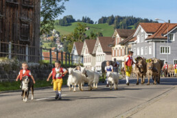 Appenzell, Appenzell Ausserrohden, Autumn, Fall, Herbst, Landwirtschaft, Schweiz, Sennen, Suisse, Switzerland, Tracht, Urnäsch, Viehschau, Wirtschaft, tradition