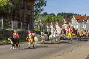 Appenzell, Appenzell Ausserrohden, Autumn, Fall, Herbst, Landwirtschaft, Schweiz, Sennen, Suisse, Switzerland, Tracht, Urnäsch, Viehschau, Wirtschaft, tradition