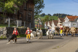 Appenzell, Appenzell Ausserrohden, Autumn, Fall, Herbst, Landwirtschaft, Schweiz, Sennen, Suisse, Switzerland, Tracht, Urnäsch, Viehschau, Wirtschaft, tradition