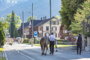 Appenzell, Appenzell Ausserrohden, Autumn, Fall, Herbst, Landwirtschaft, Schweiz, Sennen, Suisse, Switzerland, Tracht, Urnäsch, Viehschau, Wirtschaft, tradition