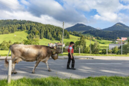Appenzell, Appenzell Ausserrohden, Autumn, Fall, Herbst, Landwirtschaft, Schweiz, Sennen, Suisse, Switzerland, Tracht, Urnäsch, Viehschau, Wirtschaft, tradition