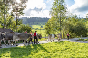 Appenzell, Appenzell Ausserrohden, Autumn, Fall, Herbst, Landwirtschaft, Schweiz, Sennen, Suisse, Switzerland, Tracht, Urnäsch, Viehschau, Wirtschaft, tradition