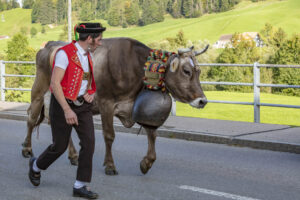 Appenzell, Appenzell Ausserrohden, Autumn, Fall, Herbst, Landwirtschaft, Schweiz, Sennen, Suisse, Switzerland, Tracht, Urnäsch, Viehschau, Wirtschaft, tradition