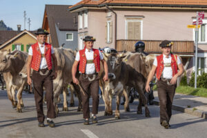 Appenzell, Appenzell Ausserrohden, Autumn, Fall, Herbst, Landwirtschaft, Schweiz, Sennen, Suisse, Switzerland, Tracht, Urnäsch, Viehschau, Wirtschaft, tradition