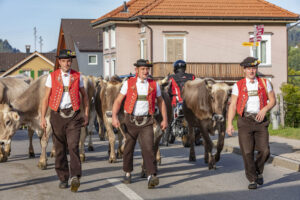 Appenzell, Appenzell Ausserrohden, Autumn, Fall, Herbst, Landwirtschaft, Schweiz, Sennen, Suisse, Switzerland, Tracht, Urnäsch, Viehschau, Wirtschaft, tradition