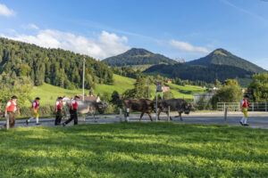 Appenzell, Appenzell Ausserrohden, Autumn, Fall, Herbst, Landwirtschaft, Schweiz, Sennen, Suisse, Switzerland, Tracht, Urnäsch, Viehschau, Wirtschaft, tradition