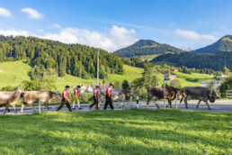 Appenzell, Appenzell Ausserrohden, Autumn, Fall, Herbst, Landwirtschaft, Schweiz, Sennen, Suisse, Switzerland, Tracht, Urnäsch, Viehschau, Wirtschaft, tradition