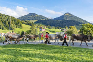 Appenzell, Appenzell Ausserrohden, Autumn, Fall, Herbst, Landwirtschaft, Schweiz, Sennen, Suisse, Switzerland, Tracht, Urnäsch, Viehschau, Wirtschaft, tradition