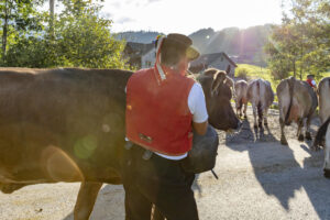 Appenzell, Appenzell Ausserrohden, Autumn, Fall, Herbst, Landwirtschaft, Schweiz, Sennen, Suisse, Switzerland, Tracht, Urnäsch, Viehschau, Wirtschaft, tradition