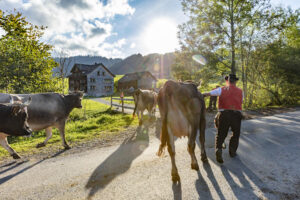 Appenzell, Appenzell Ausserrohden, Autumn, Fall, Herbst, Landwirtschaft, Schweiz, Sennen, Suisse, Switzerland, Tracht, Urnäsch, Viehschau, Wirtschaft, tradition