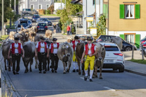 Appenzell, Appenzell Ausserrohden, Autumn, Fall, Herbst, Landwirtschaft, Schweiz, Sennen, Suisse, Switzerland, Tracht, Urnäsch, Viehschau, Wirtschaft, tradition