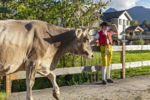 Appenzell, Appenzell Ausserrohden, Autumn, Fall, Herbst, Landwirtschaft, Schweiz, Sennen, Suisse, Switzerland, Tracht, Urnäsch, Viehschau, Wirtschaft, tradition