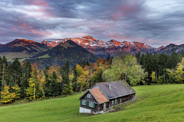 Abend, Abendrot, Alp, Alpen, Alps, Appenzell, Appenzell Ausserrohden, Appenzeller Hinterland, Appenzellerhaus, Autumn, Bauerhaus, Berg, Bergmassiv, Bäume, Fall, Feuerhimmel, Herbst, Lichtsimmung, Ostschweiz, Schweiz, Streusiedlung, Suisse, Switzerland, Säntis, Tree, Trees, Urnäsch, Wald, Wetter, alps, dramatische Licht