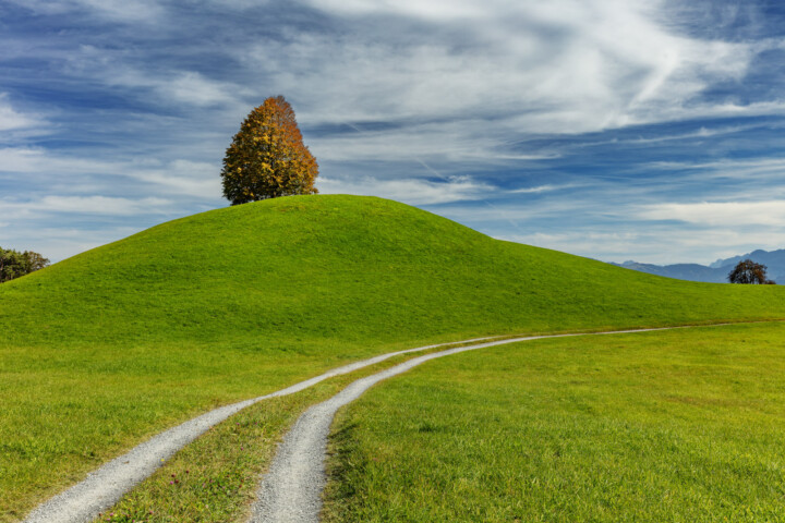 Appenzeller Vorderland, Autumn, Baum, Fall, Herbst, Ostschweiz, Schweiz, Suisse, Switzerland, Walzenhausen