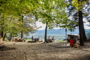 Appenzeller Vorderland, Freuerstelle, Ostschweiz, Schweiz, Suisse, Switzerland, Wald, Walzenhausen