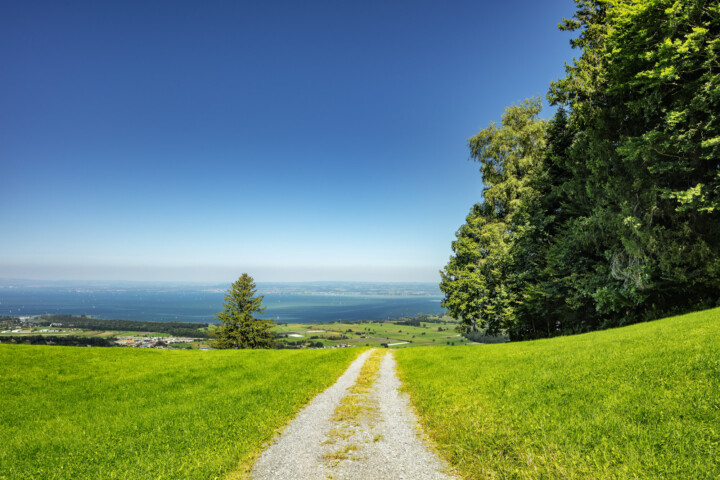 Appenzell, Appenzell Ausserrohden, Appenzeller Hinterland, Bodensee, Ostschweiz, Schweiz, Suisse, Switzerland, Verkehr, Wanderweg, Weg, Wolfhalden