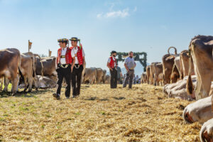 Appenzell, Appenzell Ausserrohden, Appenzeller Vorderland, Autumn, Brauchtum, Fall, Herbst, Ostschweiz, Rehetobel, Schweiz, Sennen, Suisse, Switzerland, Tracht, Viehschau, Wald, Wald AR, tradition