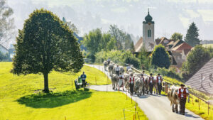 Appenzell, Appenzell Ausserrohden, Appenzeller Vorderland, Autumn, Brauchtum, Fall, Herbst, Ostschweiz, Rehetobel, Schweiz, Sennen, Suisse, Switzerland, Tracht, Viehschau, Wald, Wald AR, tradition