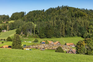 Appenzell, Appenzell Ausserrohden, Appenzeller Vorderland, Autumn, Brauchtum, Fall, Herbst, Ostschweiz, Rehetobel, Schweiz, Sennen, Suisse, Switzerland, Tracht, Viehschau, Wald, Wald AR, tradition