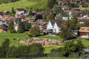 Appenzell, Appenzell Ausserrohden, Gais, Landwirtschaft, Ostschweiz, Schweiz, Sennen, Suisse, Switzerland, Tracht, Viehschau, Wirtschaft, tradition