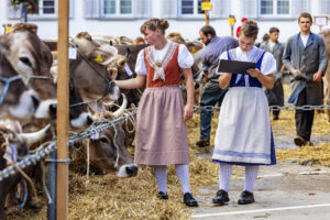 Appenzell, Appenzell Ausserrohden, Appenzeller Hinterland, Autumn, Brauchtum, Fall, Herbst, Herisau, Kühe, Landwirtschaft, Ostschweiz, Schweiz, Sennen, Suisse, Switzerland, Tracht, Viehschau, Wirtschaft