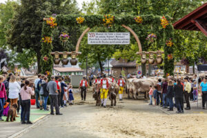 Appenzell, Appenzell Ausserrohden, Appenzeller Hinterland, Autumn, Brauchtum, Fall, Herbst, Herisau, Kühe, Landwirtschaft, Ostschweiz, Schweiz, Sennen, Suisse, Switzerland, Tracht, Viehschau, Wirtschaft