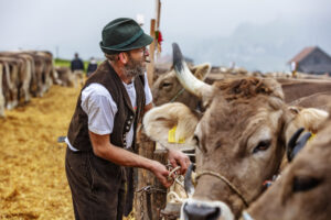 Appenzell, Appenzell Ausserrohden, Autumn, Fall, Herbst, Hundwil, Landwirtschaft, Schweiz, Sennen, Suisse, Switzerland, Tracht, Viehschau, Wirtschaft, tradition