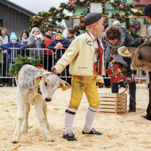 Appenzell, Appenzell Ausserrohden, Autumn, Fall, Herbst, Hundwil, Landwirtschaft, Schweiz, Sennen, Suisse, Switzerland, Tracht, Viehschau, Wirtschaft, tradition