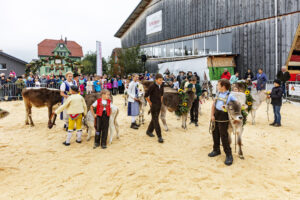 Appenzell, Appenzell Ausserrohden, Autumn, Fall, Herbst, Hundwil, Landwirtschaft, Schweiz, Sennen, Suisse, Switzerland, Tracht, Viehschau, Wirtschaft, tradition