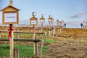 Appenzell, Appenzell Ausserrohden, Schweiz, Schwellbrunn, Sennen, Suisse, Switzerland, Tracht, Viehschau, tradition