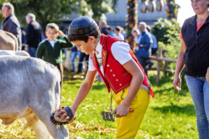 Appenzell, Appenzell Ausserrohden, Schweiz, Schwellbrunn, Sennen, Suisse, Switzerland, Tracht, Viehschau, tradition
