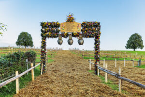 Appenzell, Appenzell Ausserrohden, Schweiz, Schwellbrunn, Sennen, Suisse, Switzerland, Tracht, Viehschau, tradition