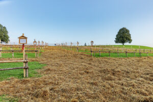 Appenzell, Appenzell Ausserrohden, Schweiz, Schwellbrunn, Sennen, Suisse, Switzerland, Tracht, Viehschau, tradition
