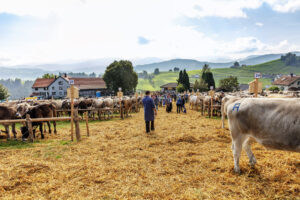 Appenzell, Appenzell Ausserrohden, Schweiz, Schwellbrunn, Sennen, Suisse, Switzerland, Tracht, Viehschau, tradition