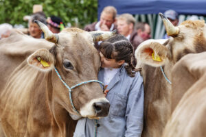 Appenzell, Appenzell Ausserrohden, Ostschweiz, Schweiz, Stein, Suisse, Switzerland, Viehschau