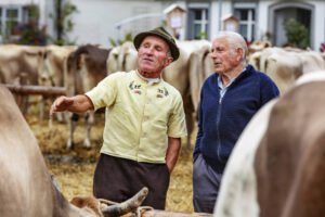 Appenzell, Appenzell Ausserrohden, Ostschweiz, Schweiz, Stein, Suisse, Switzerland, Viehschau