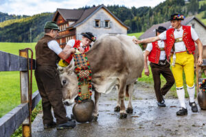 Appenzell, Appenzell Ausserrohden, Autumn, Fall, Herbst, Landwirtschaft, Schweiz, Sennen, Suisse, Switzerland, Tracht, Urnäsch, Viehschau, Wirtschaft, tradition