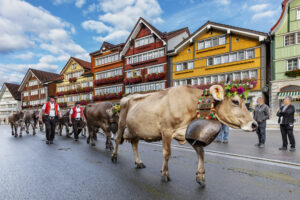 Appenzell, Appenzell Ausserrohden, Autumn, Fall, Herbst, Landwirtschaft, Schweiz, Sennen, Suisse, Switzerland, Tracht, Urnäsch, Viehschau, Wirtschaft, tradition