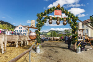 Appenzell, Appenzell Ausserrohden, Autumn, Fall, Herbst, Landwirtschaft, Schweiz, Sennen, Suisse, Switzerland, Tracht, Urnäsch, Viehschau, Wirtschaft, tradition