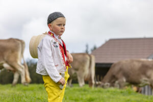 Alpabfahrt, Alpaufzug, Alpen, Alps, Appenzell, Appenzell Ausserrohden, Appenzeller Hinterland, Brauchtum, Frühling, Hochalp, Landwirtschaft, Ostschweiz, Schweiz, Sennen, Spring, Suisse, Switzerland, Tracht, Urnäsch, Wirtschaft, tradition, Öberefahre